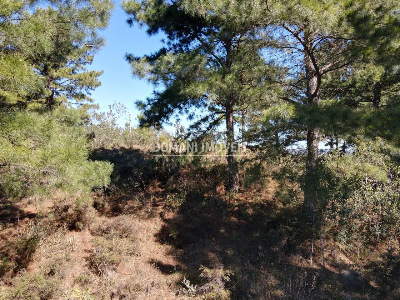Terreno à venda de 1.030 m² em Campos do Jordão, SP, Brasil
