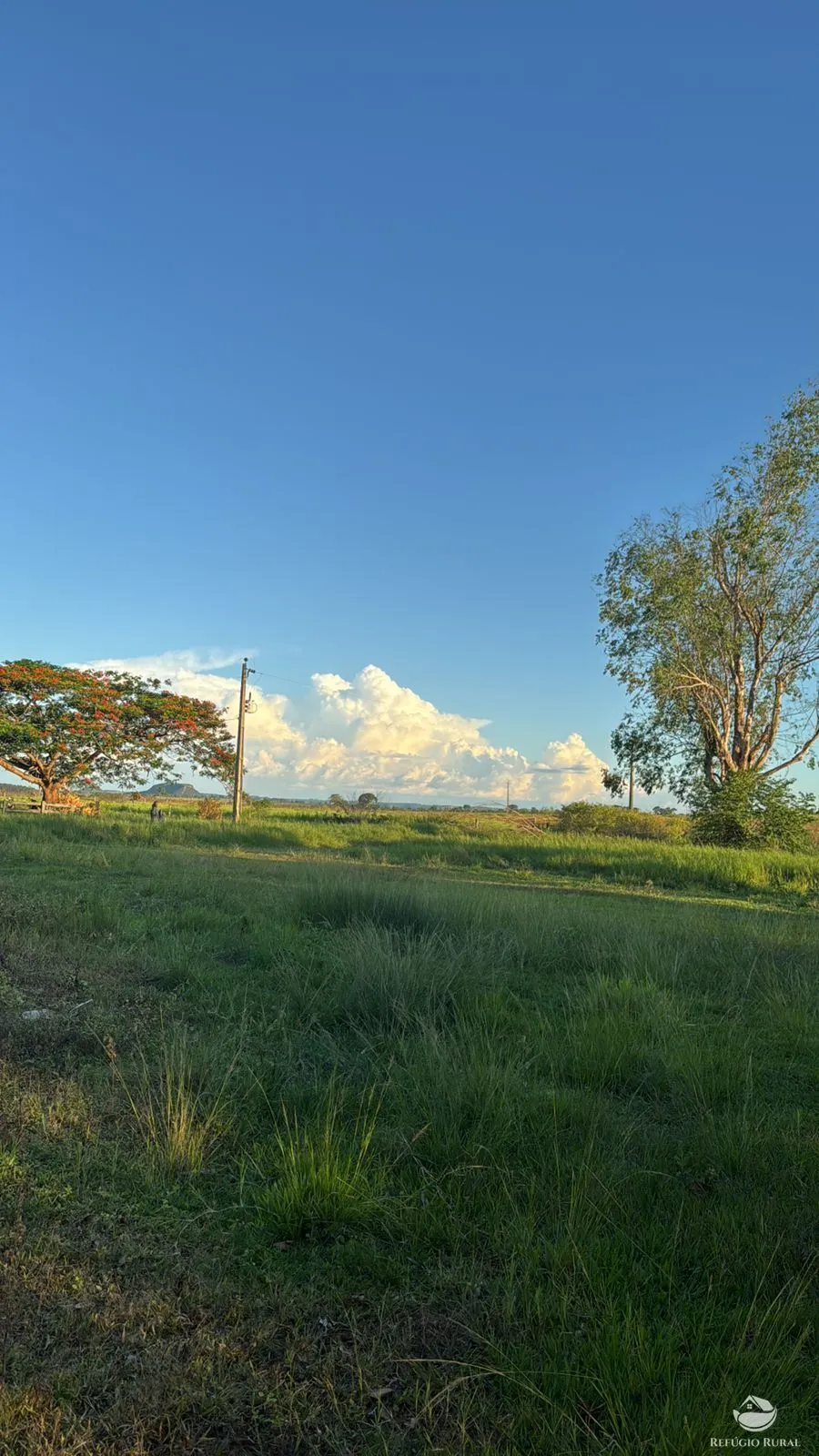 Fazenda à venda de 145 ha em Figueirão, MS, Brasil