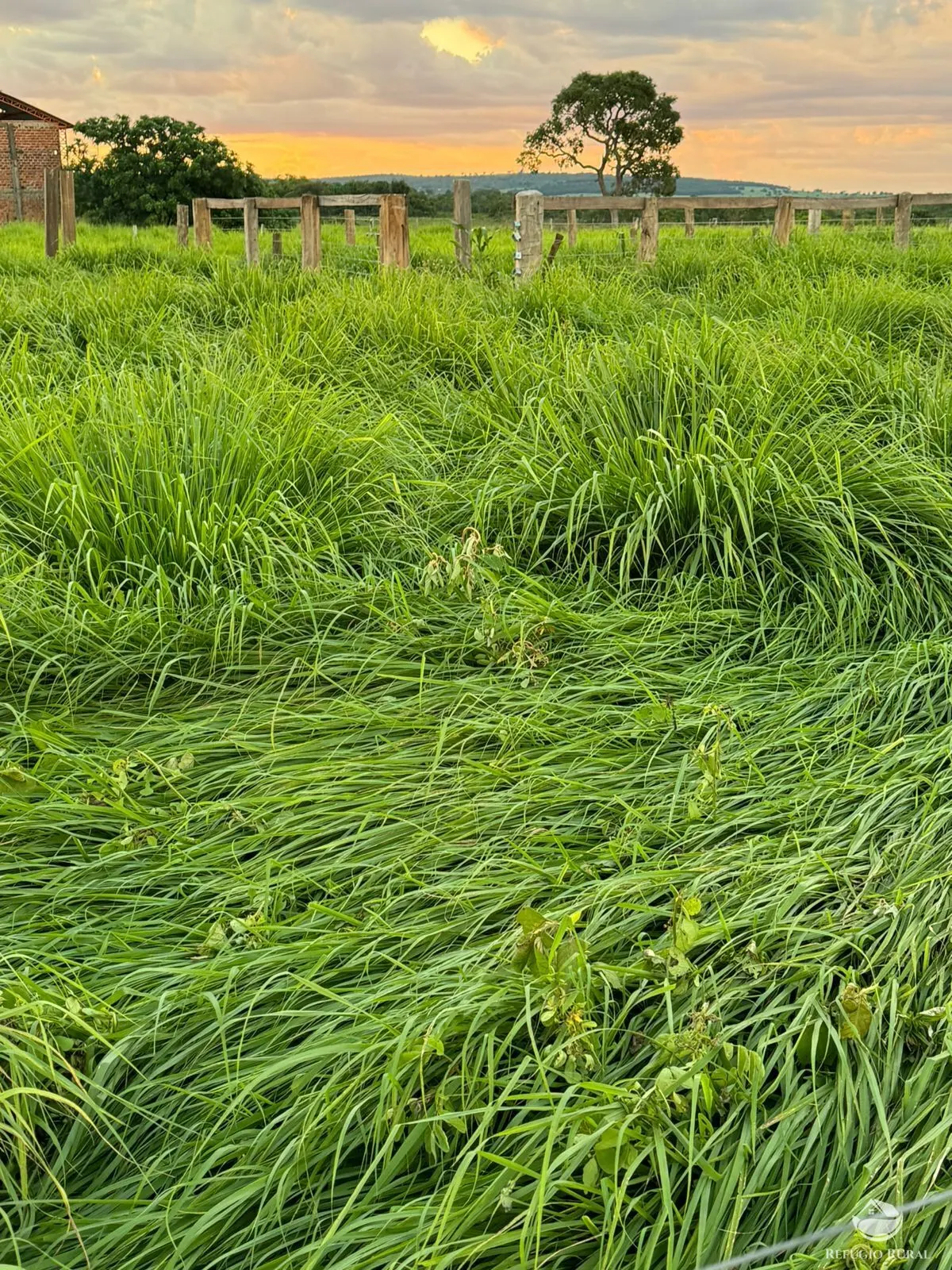 Farm for sale of 358 acres in Figueirão, MS, Brazil