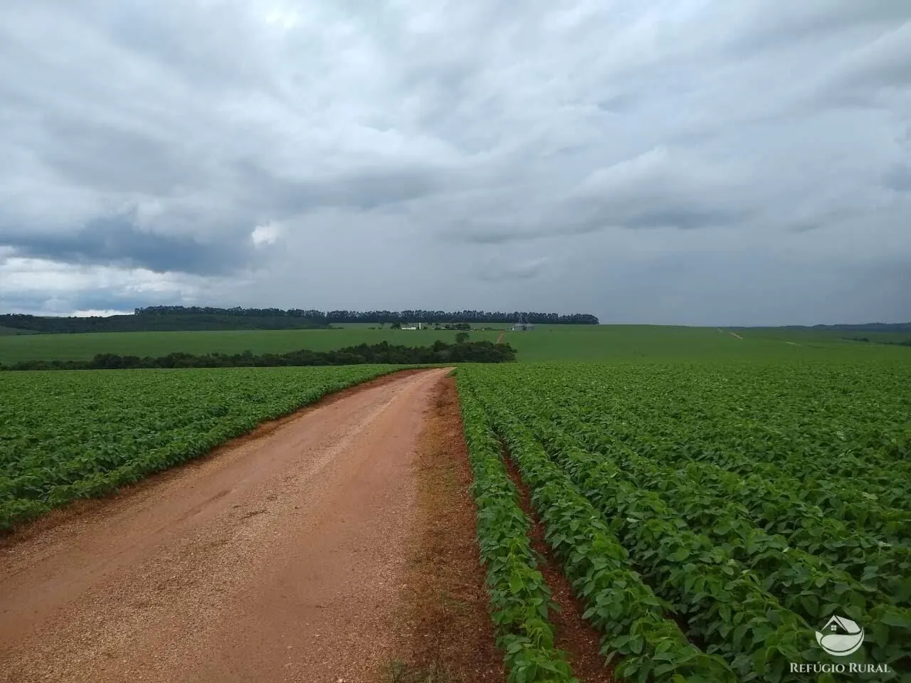 Fazenda à venda de 1.480 ha em Pimenta, MG, Brasil