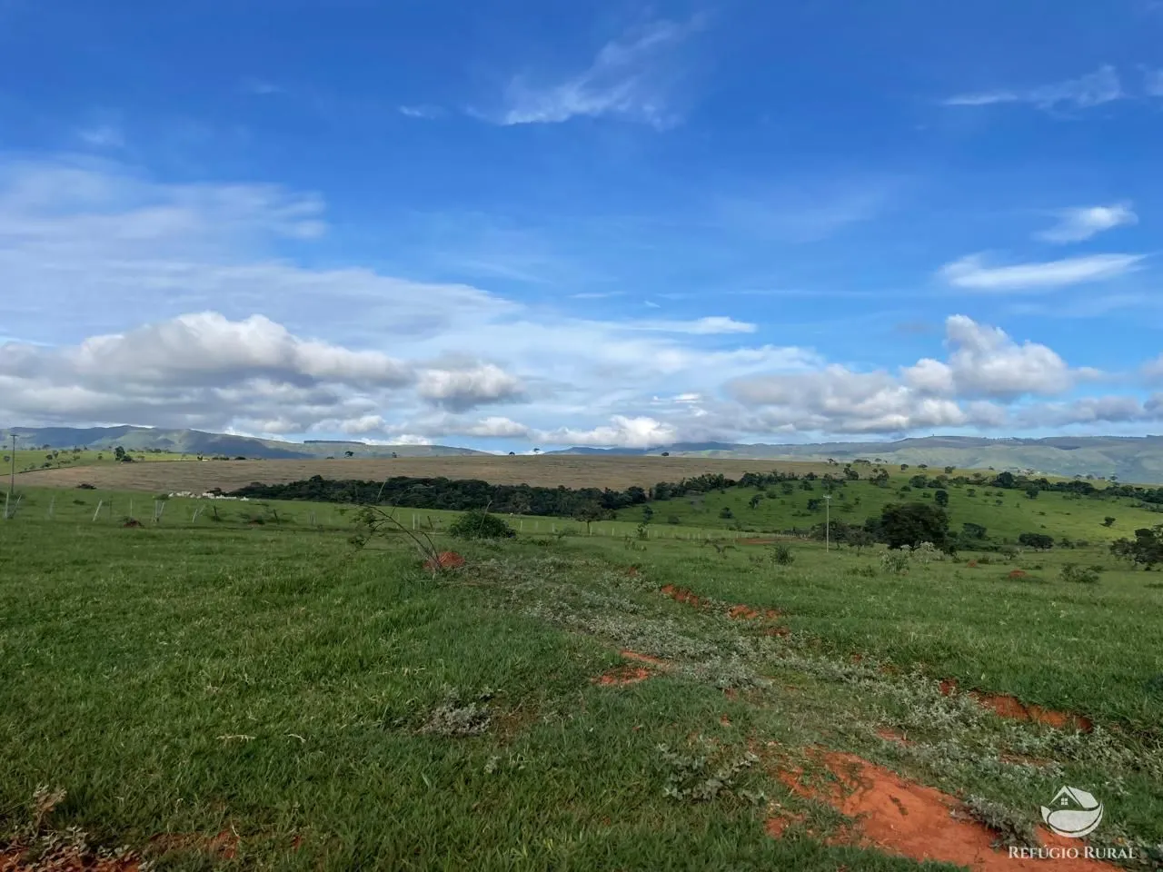 Fazenda à venda de 1.480 ha em Pimenta, MG, Brasil