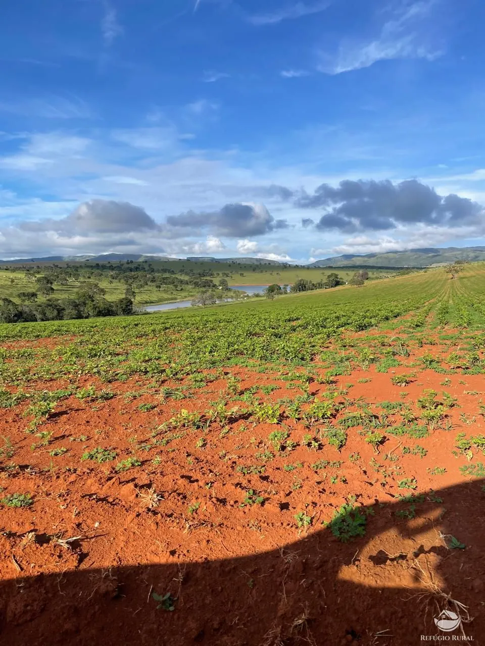 Fazenda à venda de 1.480 ha em Pimenta, MG, Brasil