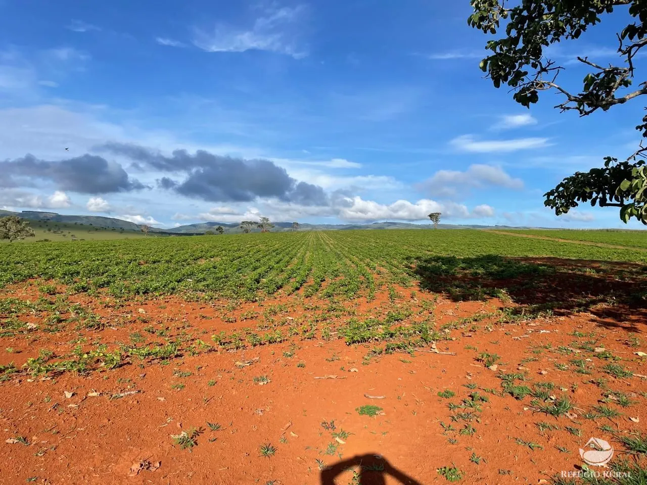 Fazenda à venda de 1.480 ha em Pimenta, MG, Brasil