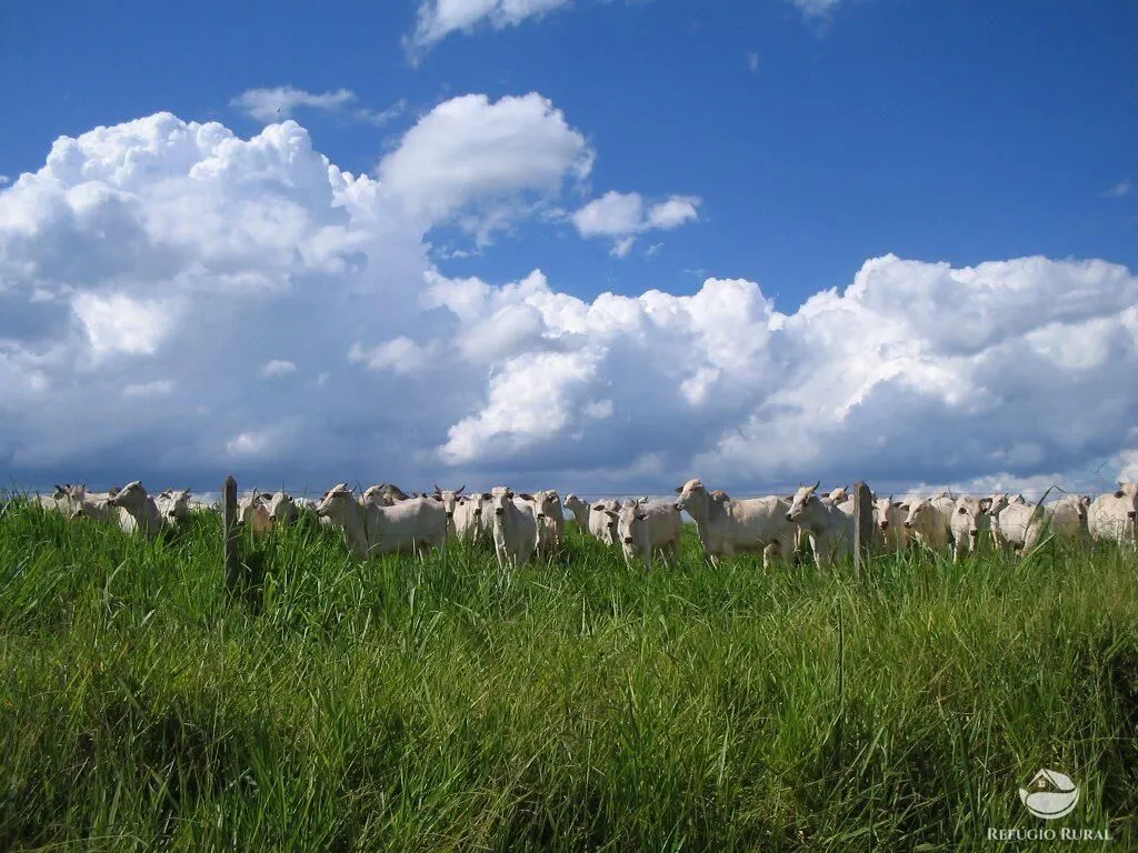 Fazenda à venda de 1.480 ha em Pimenta, MG, Brasil
