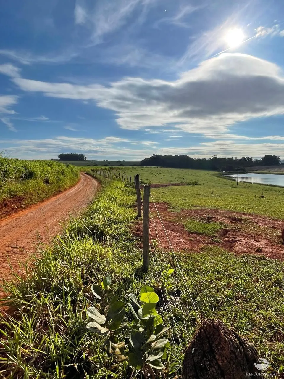 Fazenda à venda de 1.480 ha em Pimenta, MG, Brasil