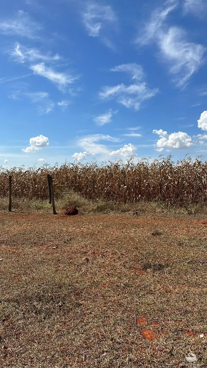Fazenda à venda de 1.480 ha em Pimenta, MG, Brasil
