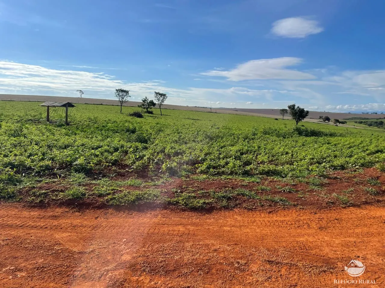 Fazenda à venda de 1.480 ha em Pimenta, MG, Brasil