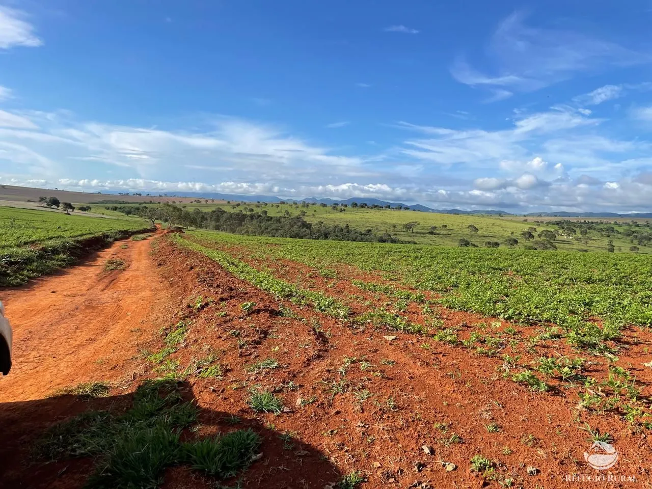 Fazenda à venda de 1.480 ha em Pimenta, MG, Brasil