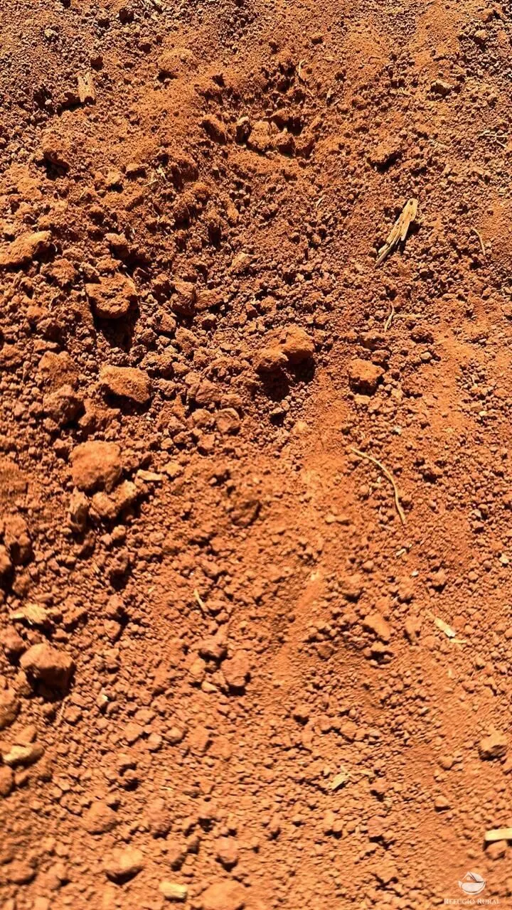 Fazenda à venda de 1.480 ha em Pimenta, MG, Brasil