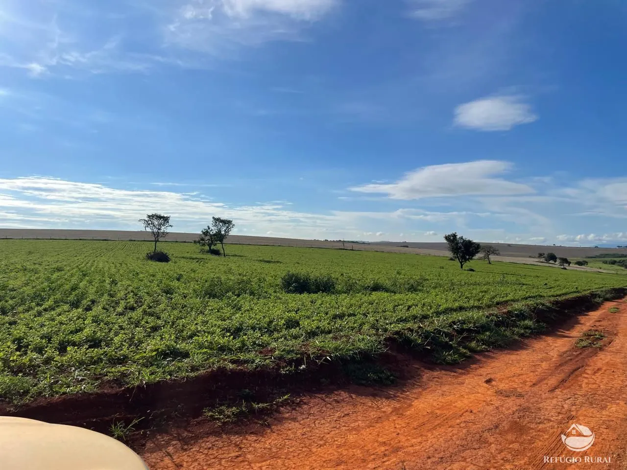Fazenda à venda de 1.480 ha em Pimenta, MG, Brasil