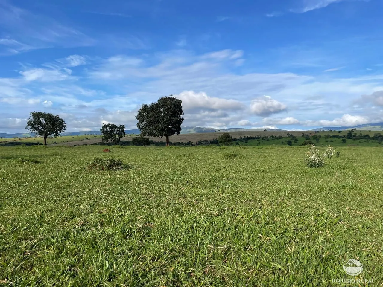 Fazenda à venda de 1.480 ha em Pimenta, MG, Brasil
