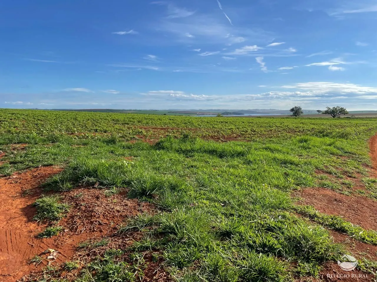 Fazenda à venda de 1.480 ha em Pimenta, MG, Brasil