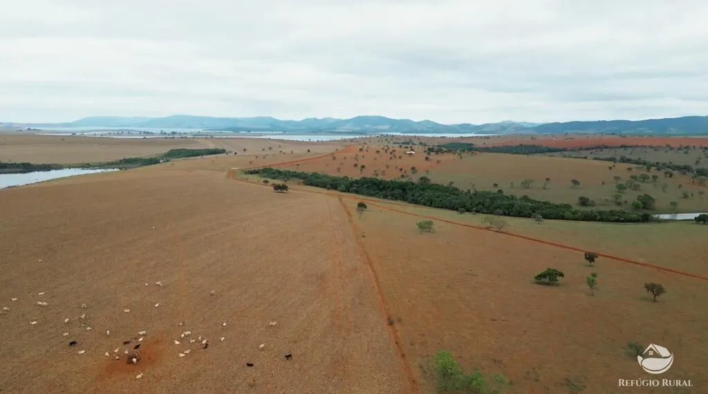 Fazenda à venda de 1.480 ha em Pimenta, MG, Brasil