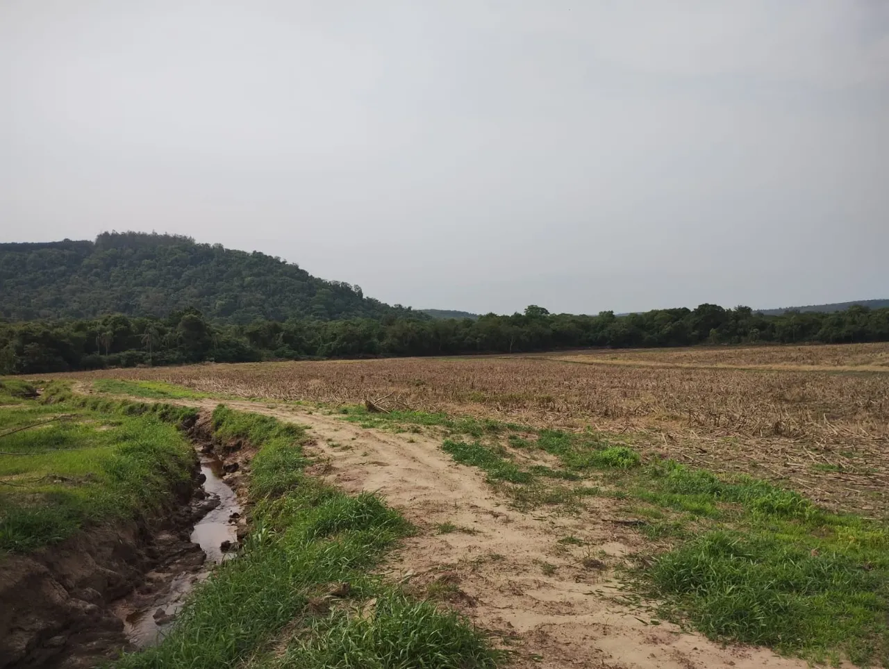 Fazenda à venda de 33 ha em Angatuba, SP, Brasil