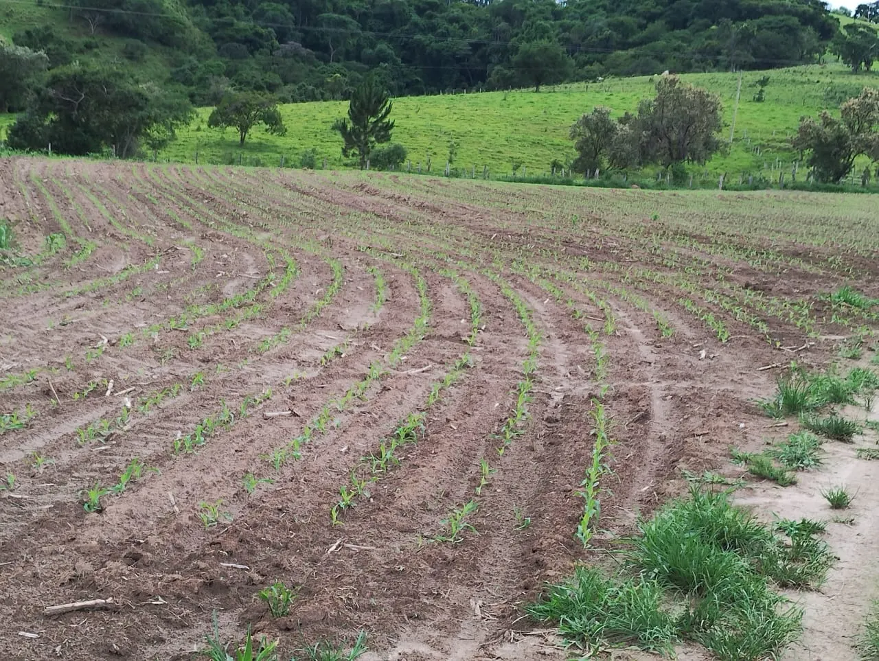 Fazenda à venda de 33 ha em Angatuba, SP, Brasil