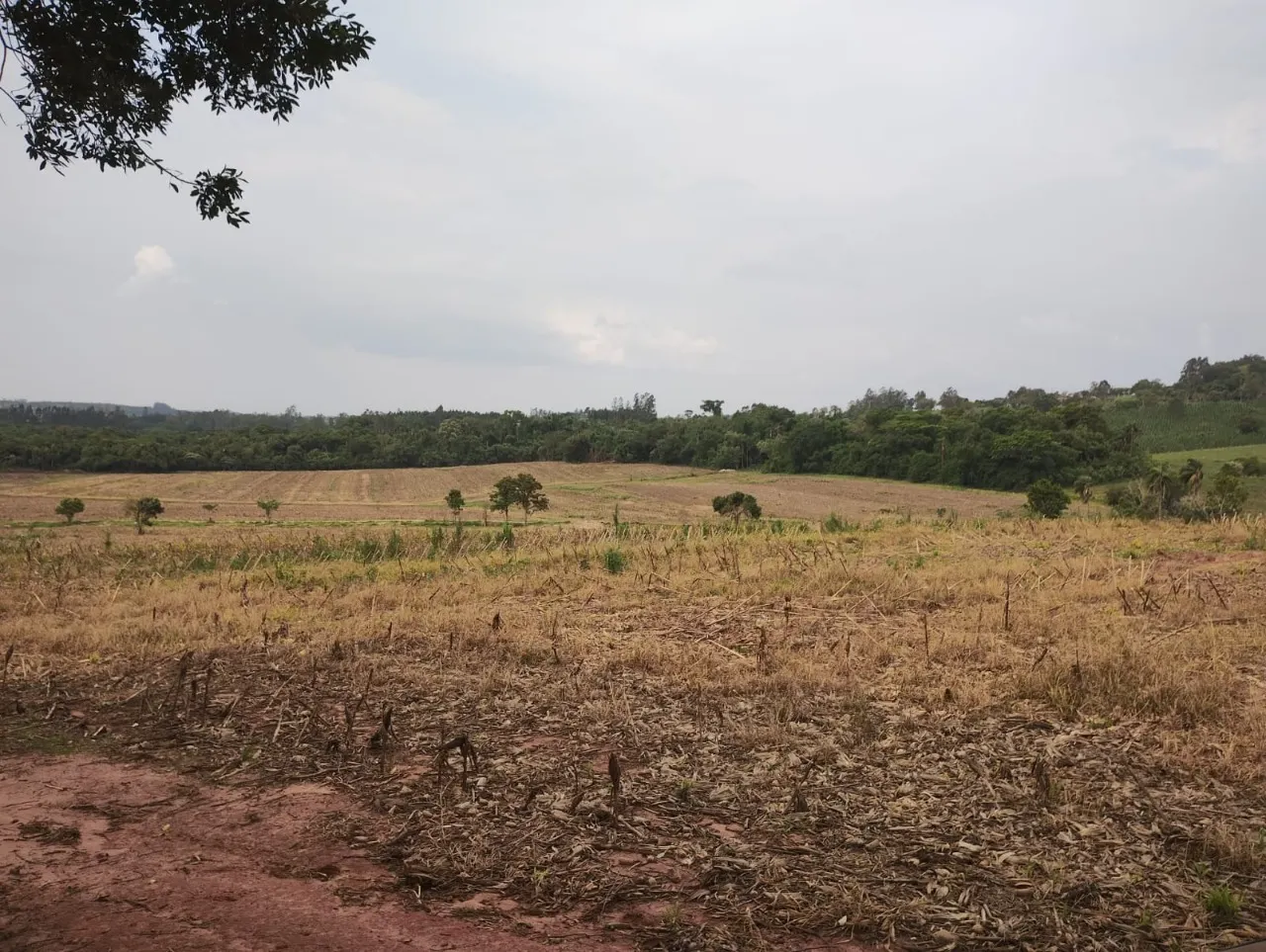 Fazenda à venda de 33 ha em Angatuba, SP, Brasil
