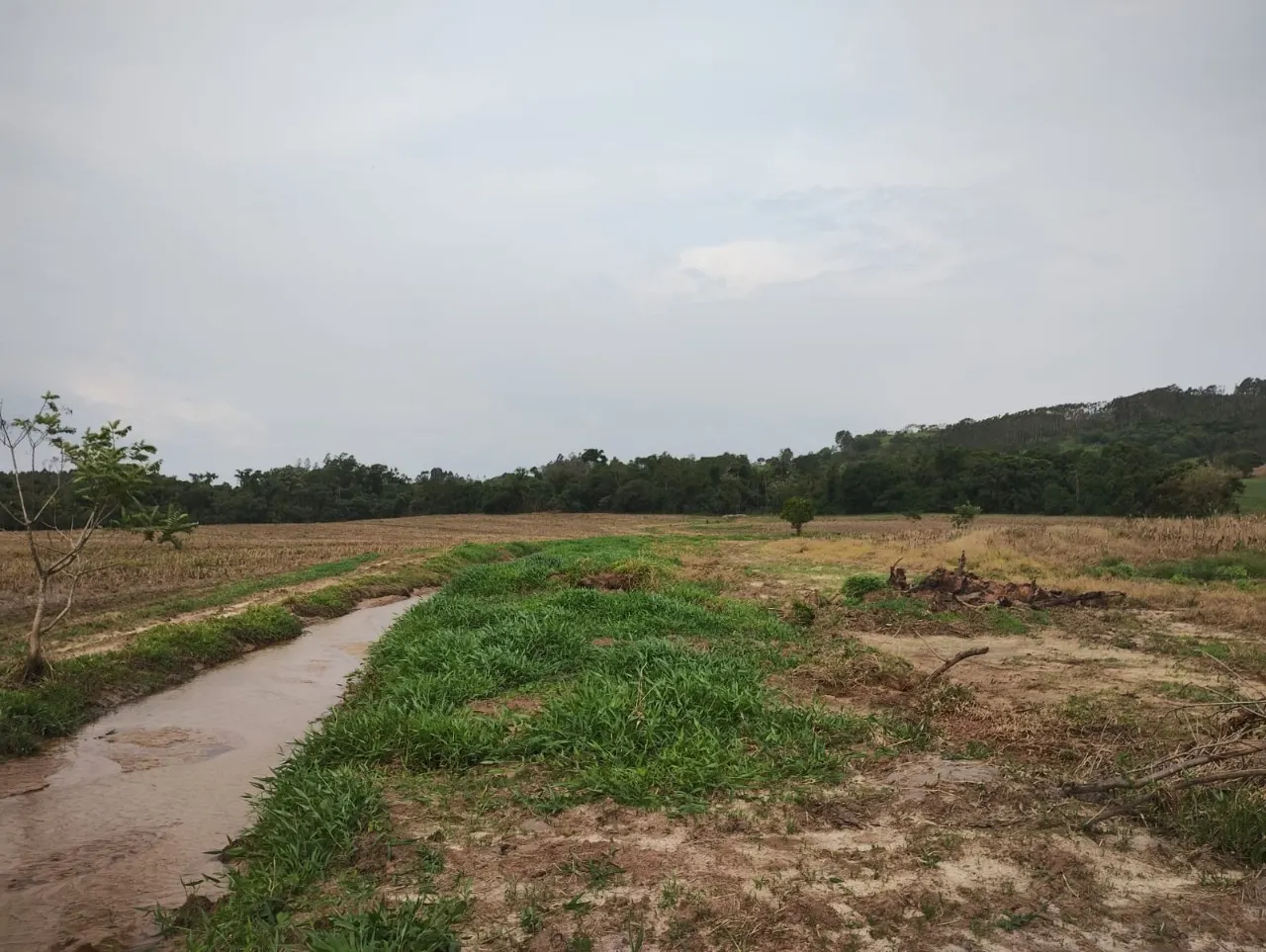 Fazenda à venda de 33 ha em Angatuba, SP, Brasil