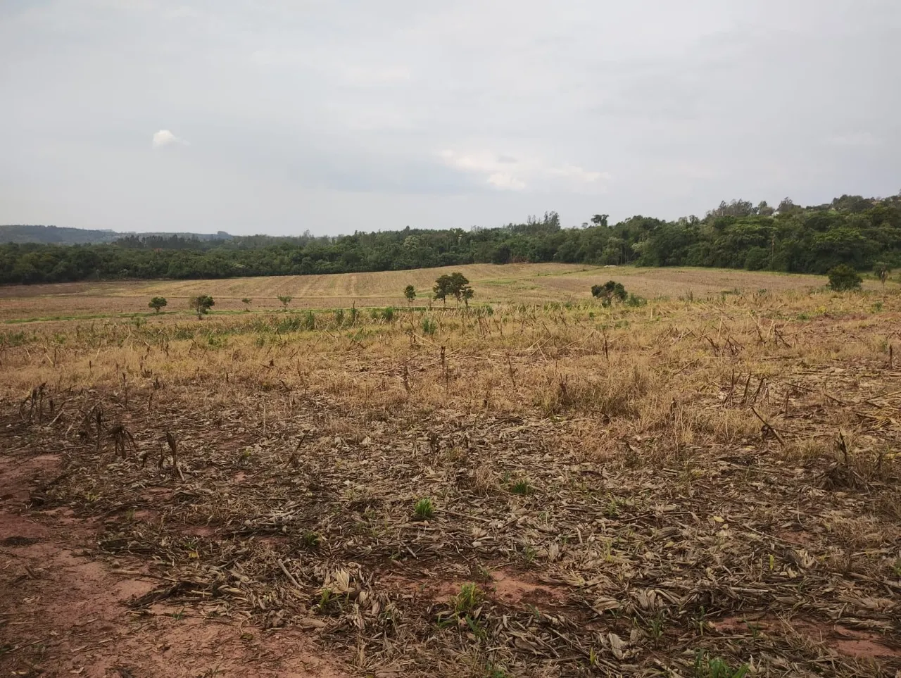 Fazenda à venda de 33 ha em Angatuba, SP, Brasil