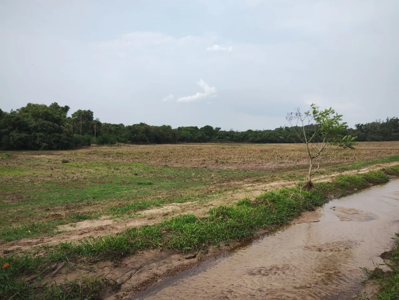 Fazenda à venda de 33 ha em Angatuba, SP, Brasil
