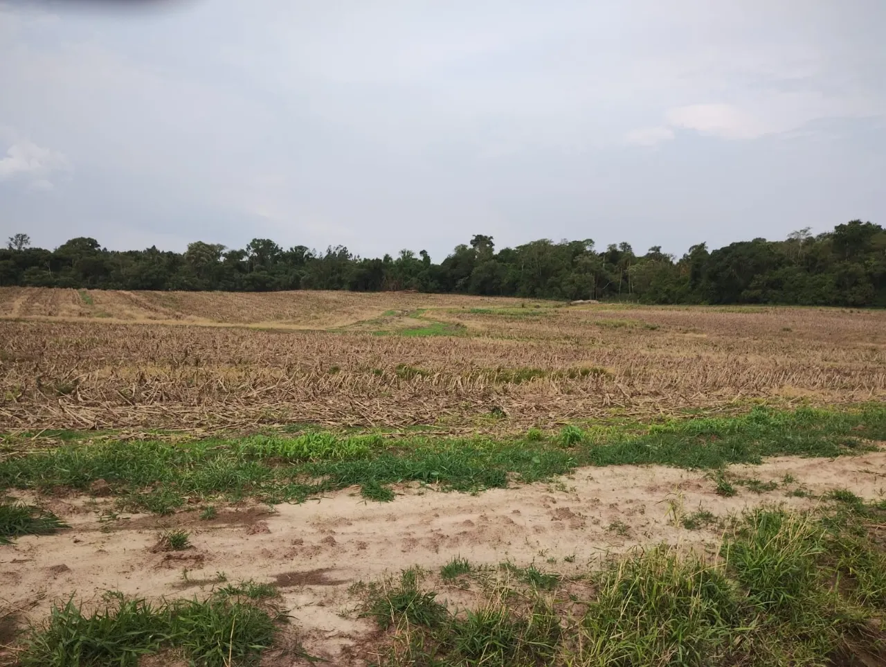 Fazenda à venda de 33 ha em Angatuba, SP, Brasil