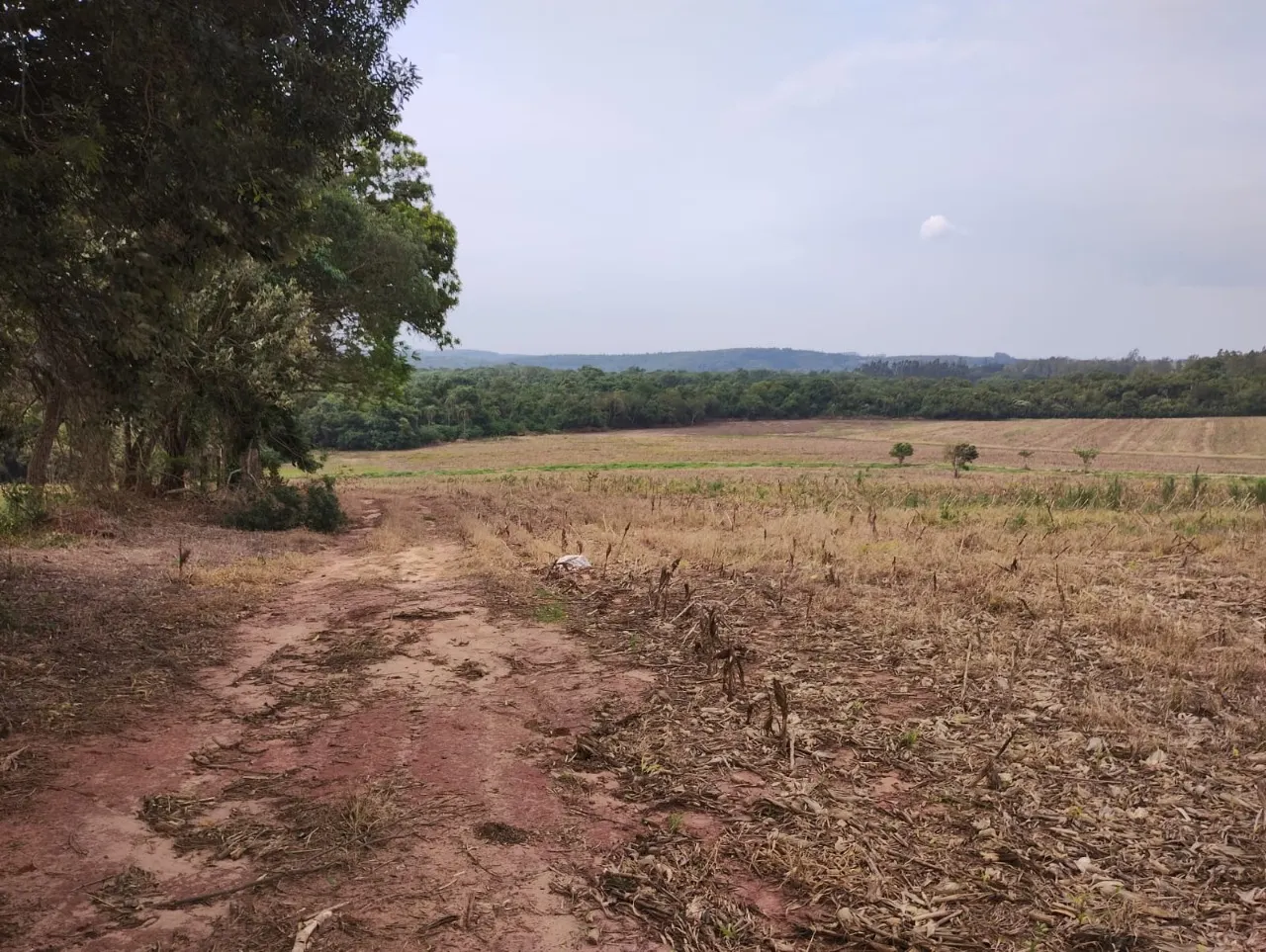 Fazenda à venda de 33 ha em Angatuba, SP, Brasil