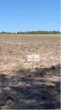 Fazenda à venda de 448 ha em Gurupi, TO, Brasil