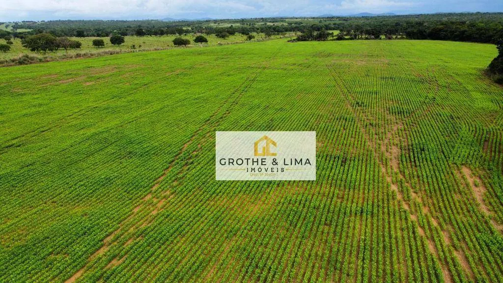 Fazenda à venda de 448 ha em Gurupi, TO, Brasil
