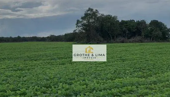 Fazenda à venda de 448 ha em Gurupi, TO, Brasil