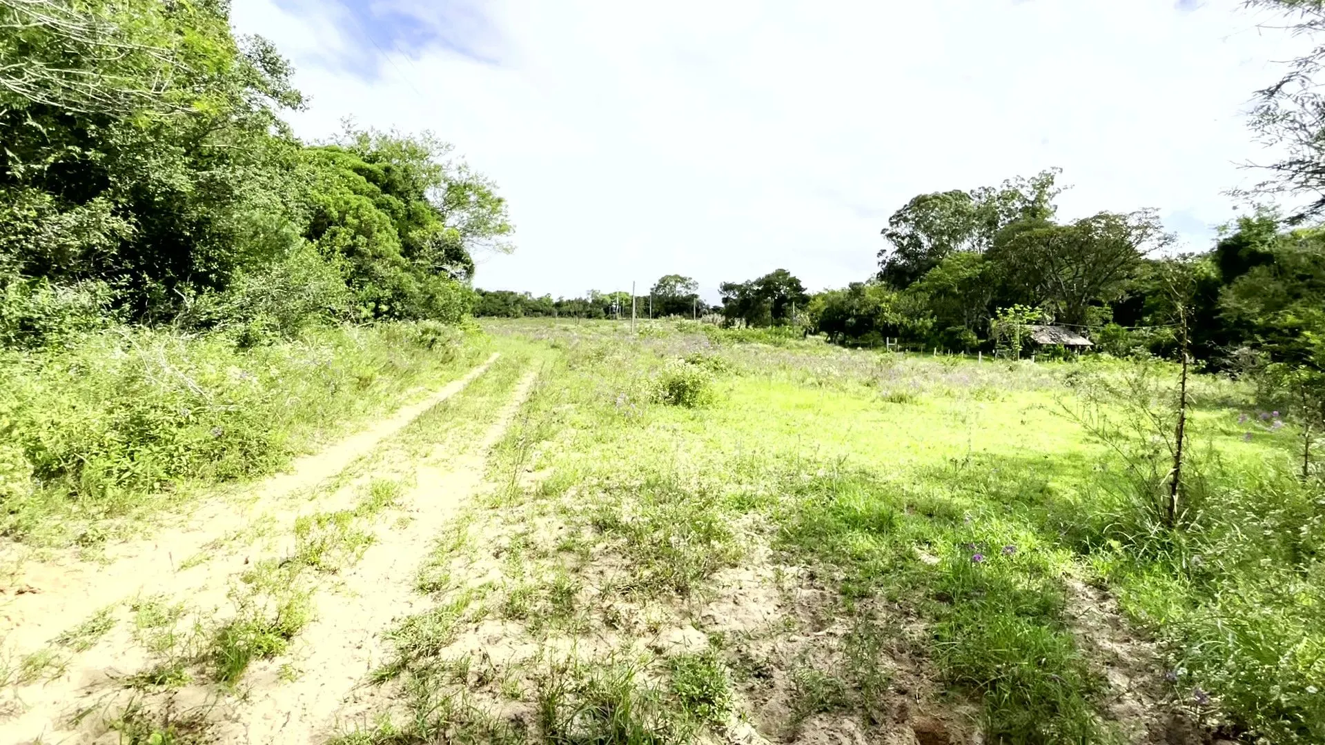 Sítio à venda de 19 ha em Viamão, RS, Brasil