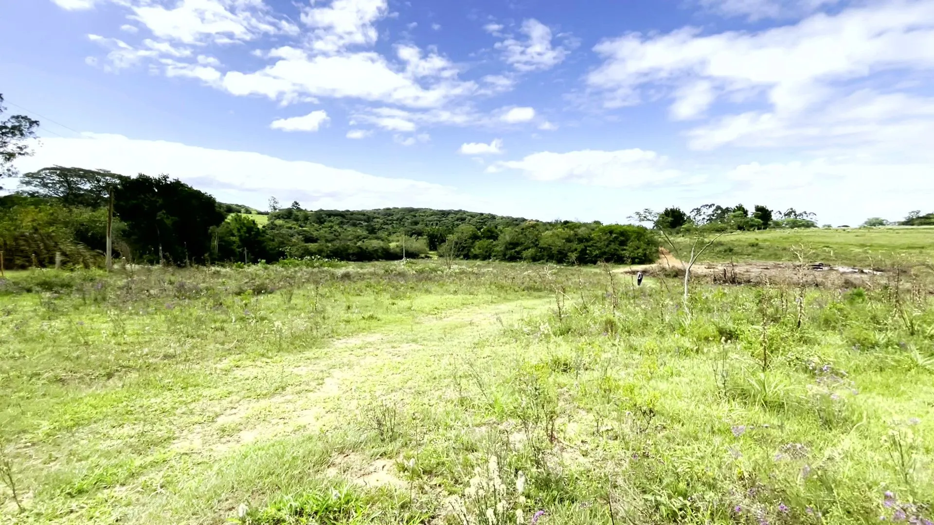 Sítio à venda de 19 ha em Viamão, RS, Brasil
