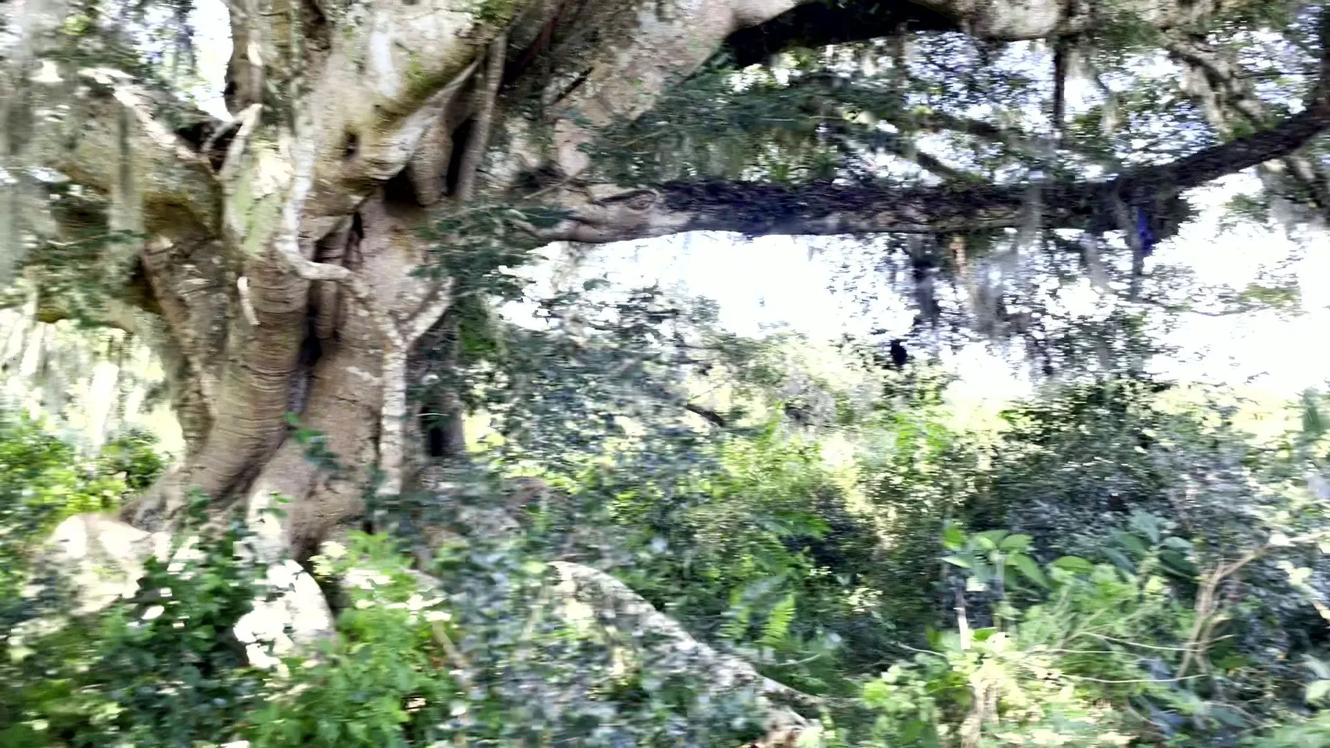 Sítio à venda de 19 ha em Viamão, RS, Brasil