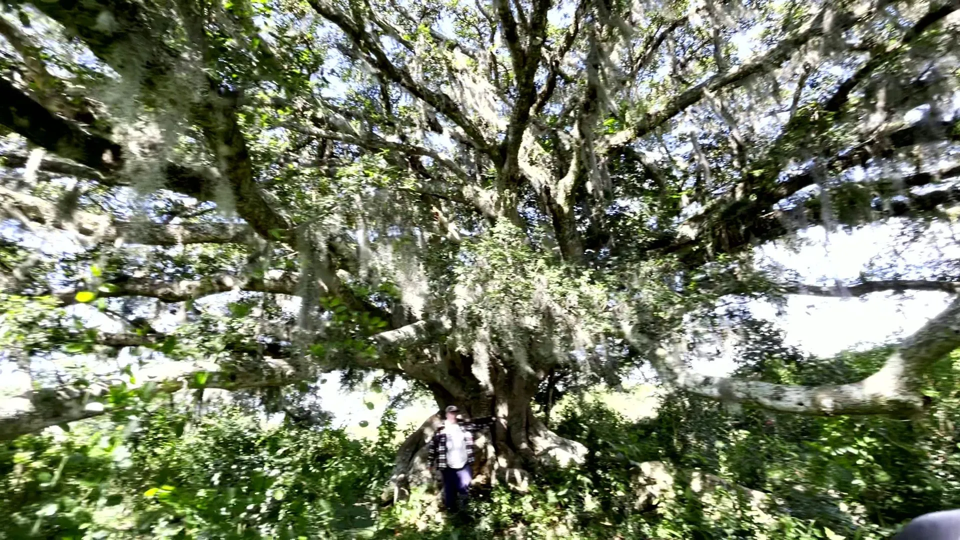 Sítio à venda de 19 ha em Viamão, RS, Brasil