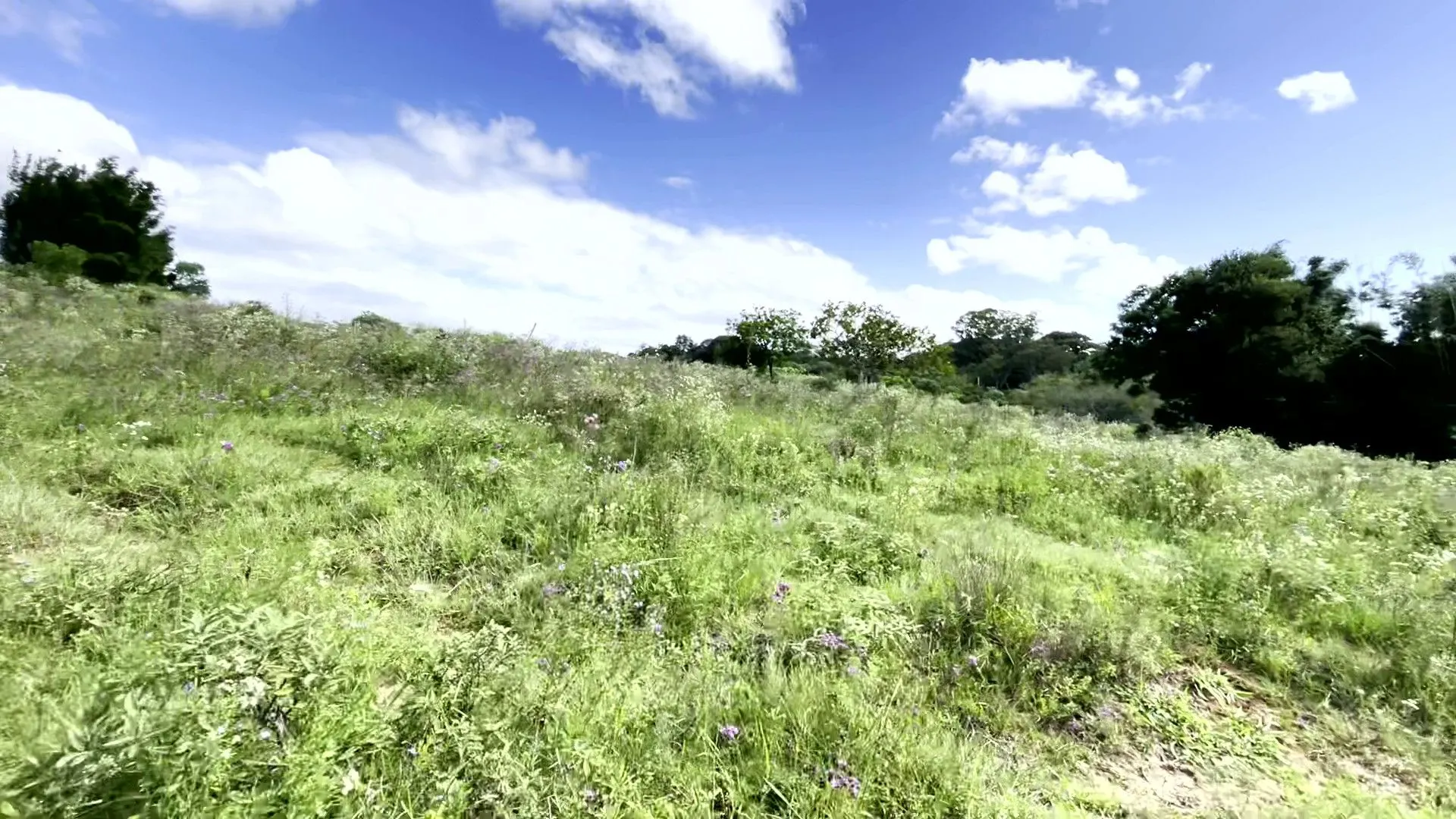 Sítio à venda de 19 ha em Viamão, RS, Brasil