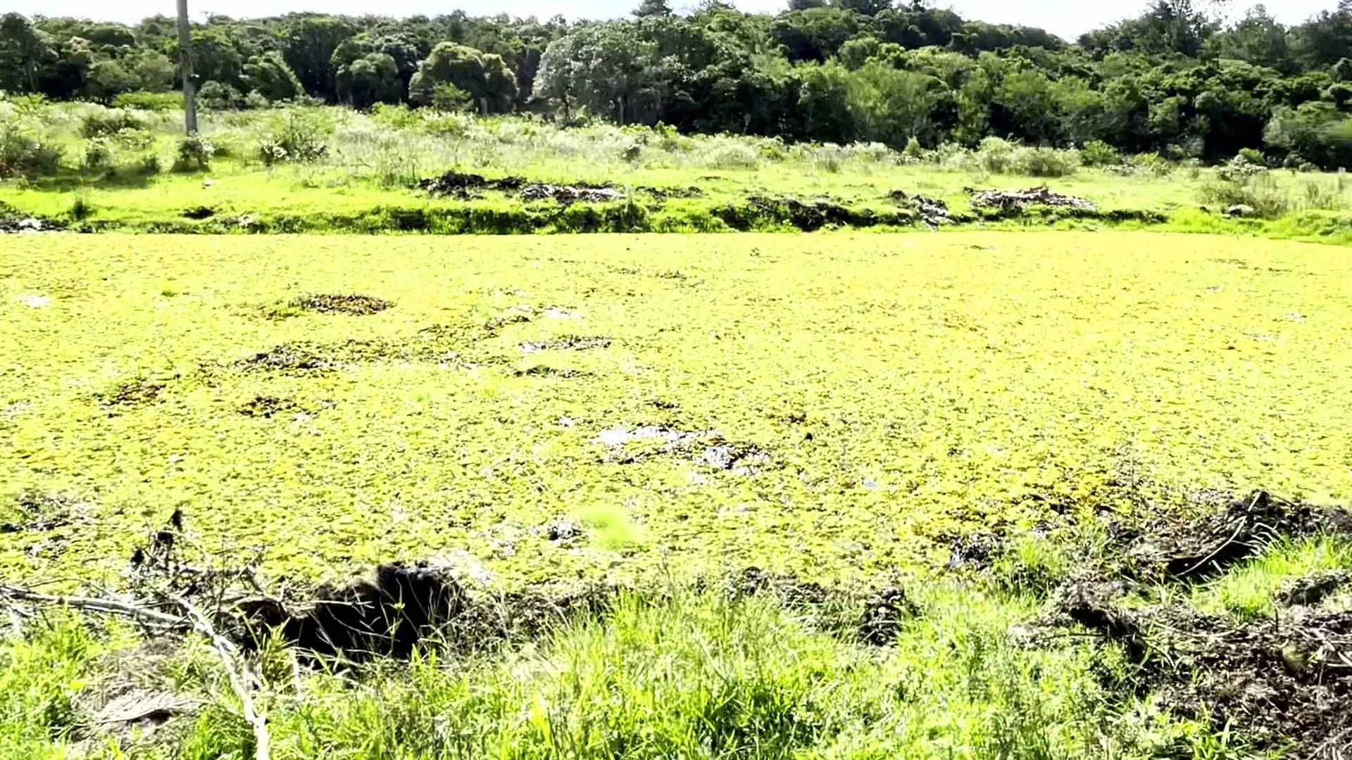 Sítio à venda de 19 ha em Viamão, RS, Brasil