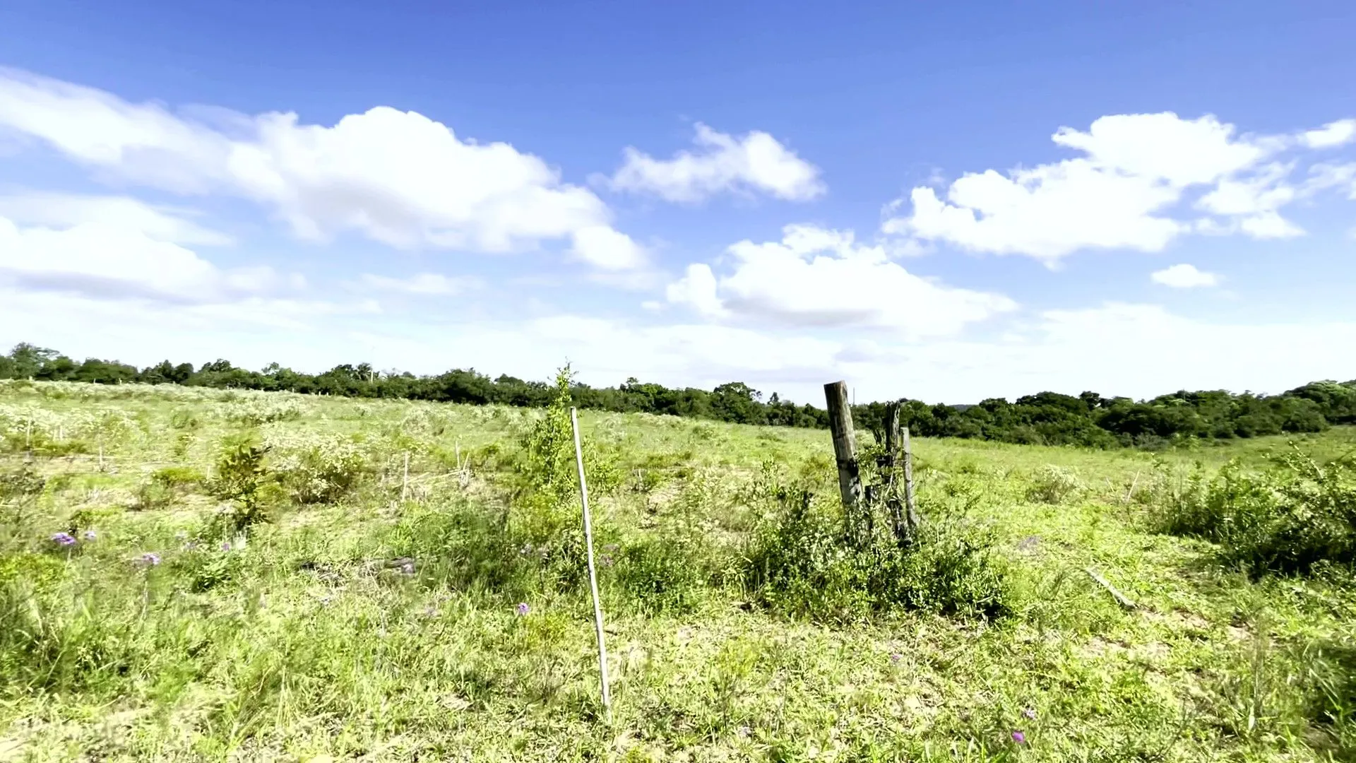 Sítio à venda de 19 ha em Viamão, RS, Brasil