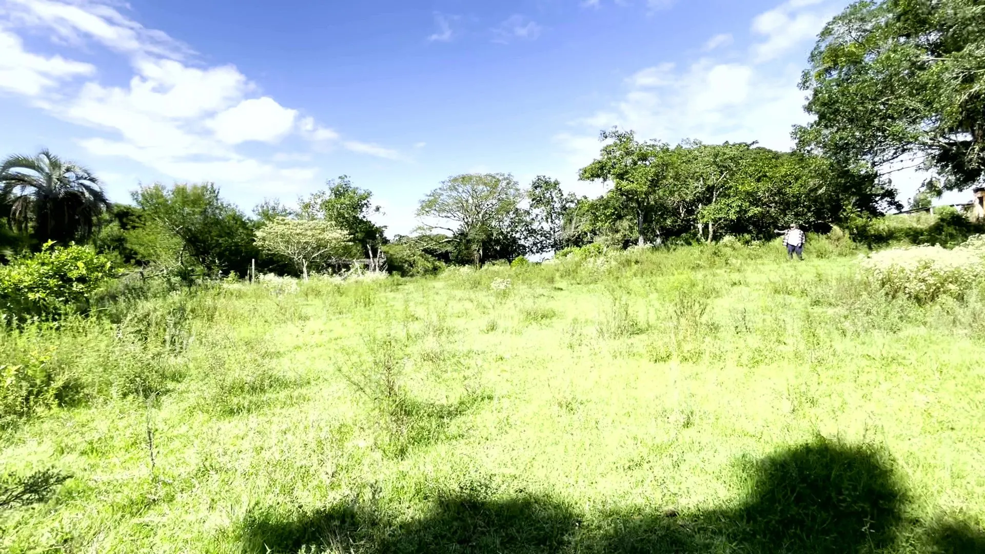 Sítio à venda de 19 ha em Viamão, RS, Brasil