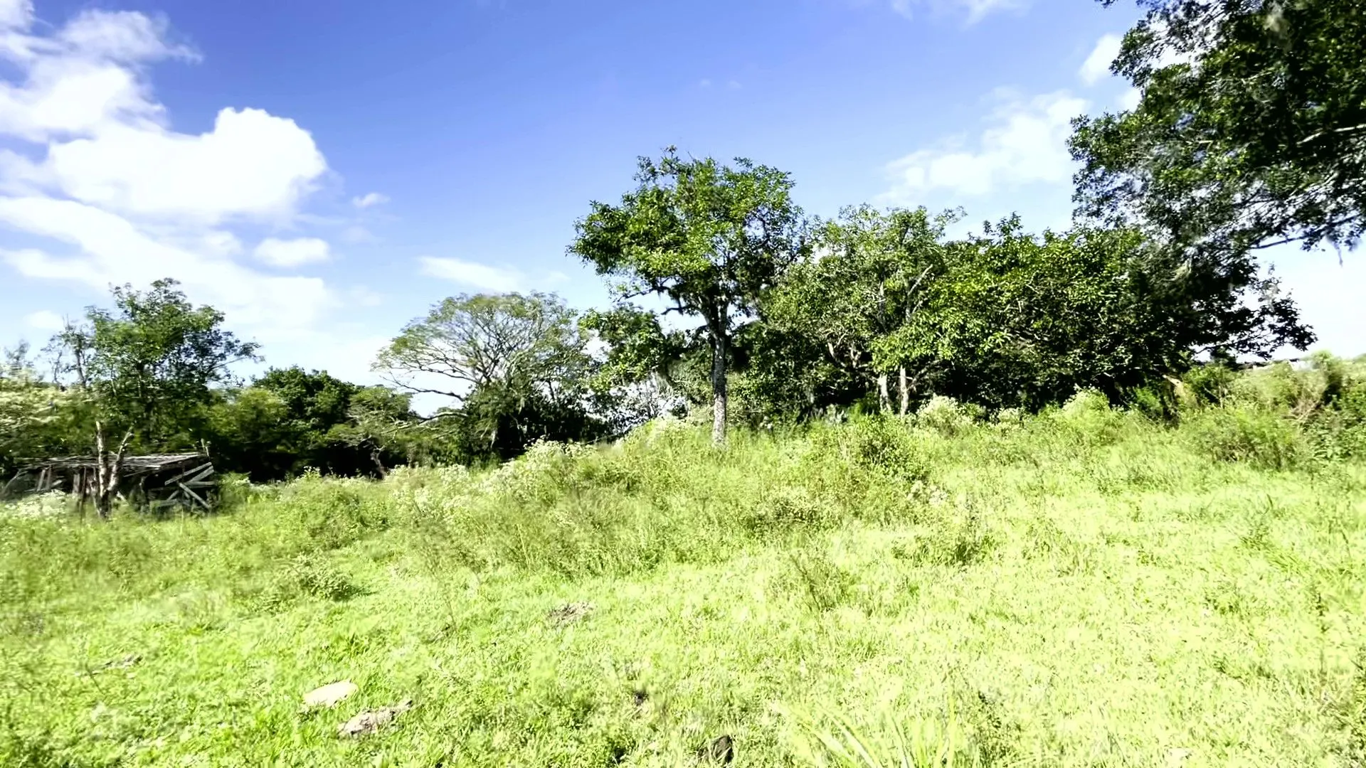 Sítio à venda de 19 ha em Viamão, RS, Brasil