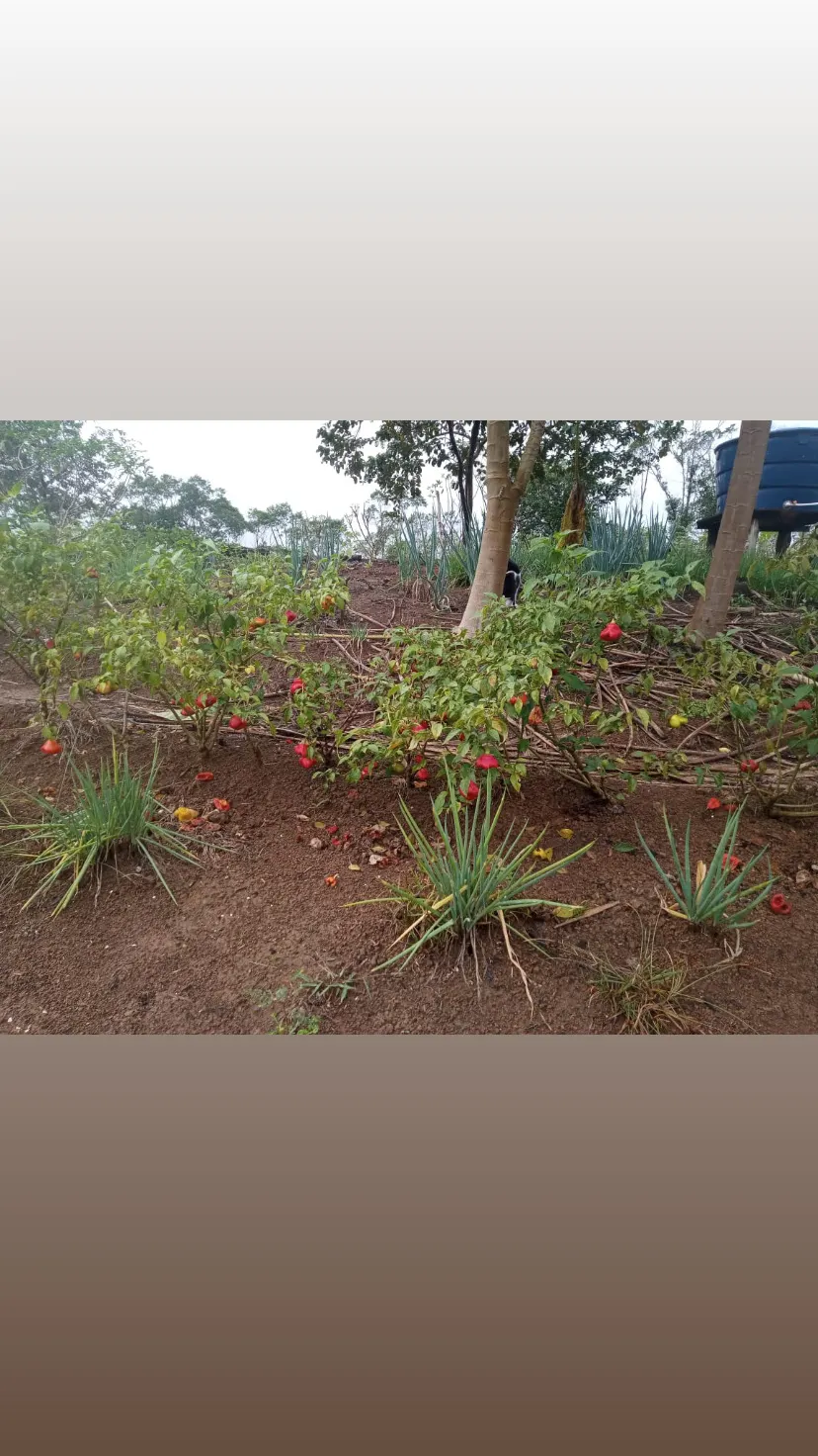 Country home for sale of 7 acres in Antonina, PR, Brazil