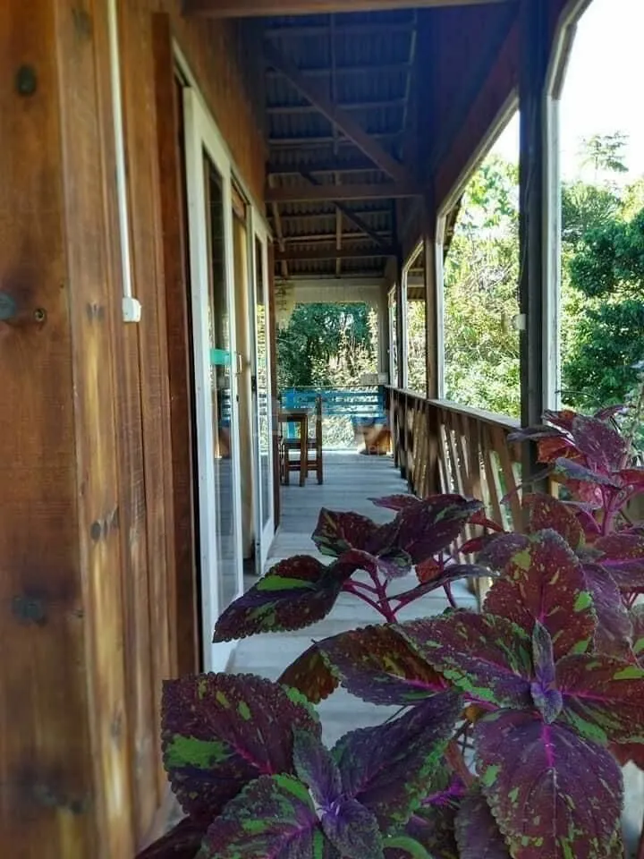 Fazenda à venda de 5.000 m² em Canelinha, SC, Brasil
