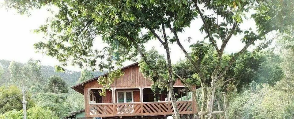 Fazenda à venda de 5.000 m² em Canelinha, SC, Brasil