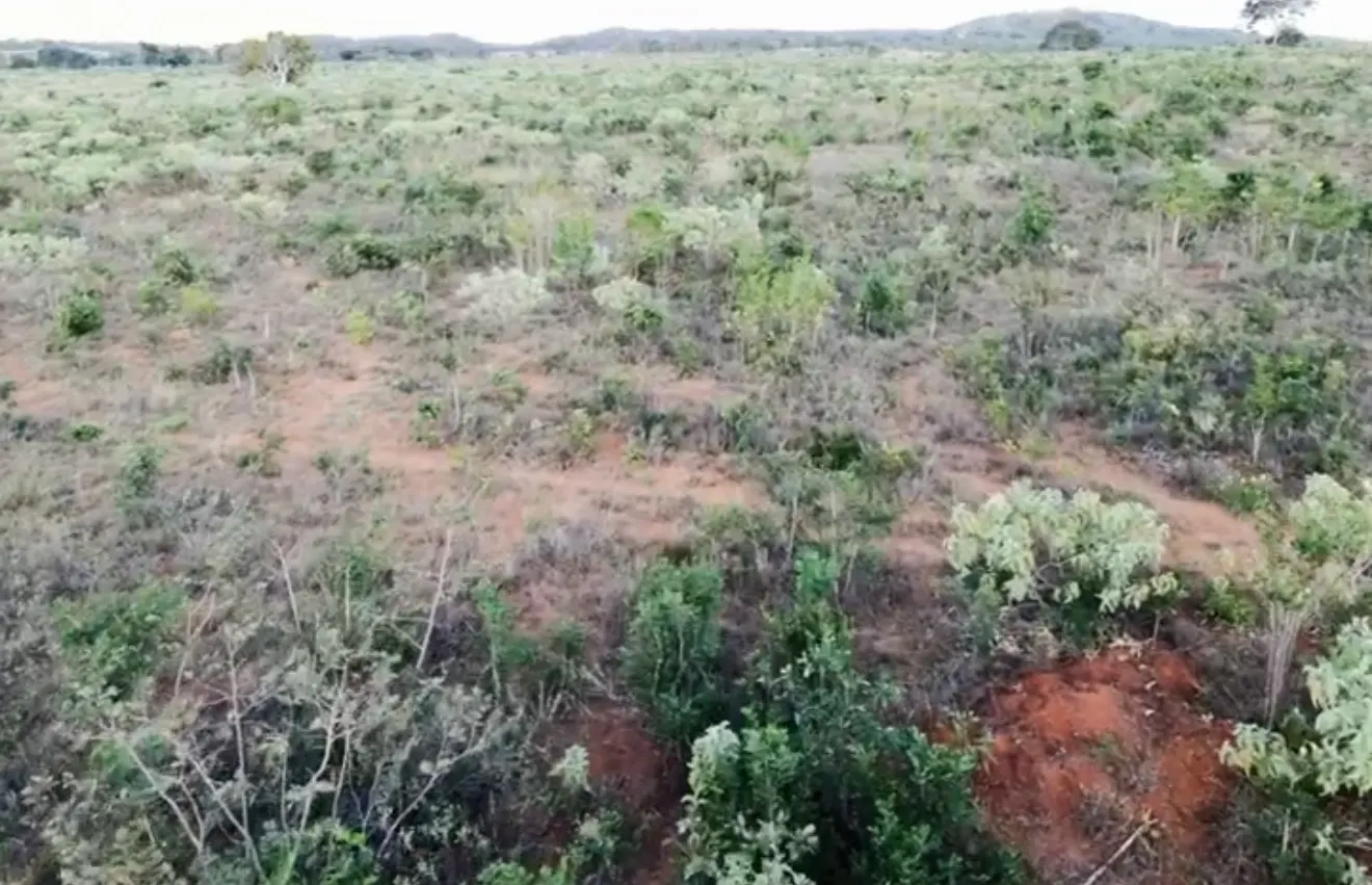 Fazenda à venda de 1.800 ha em Cabeceiras, GO, Brasil