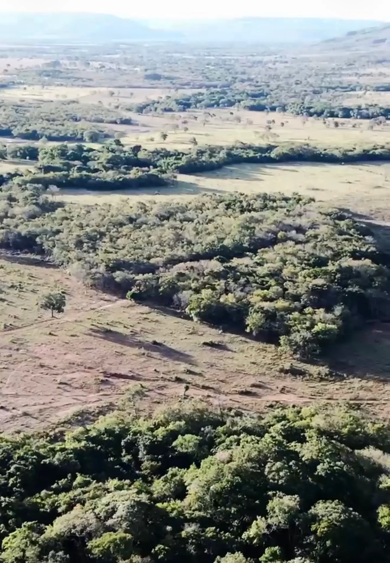 Fazenda à venda de 1.800 ha em Cabeceiras, GO, Brasil