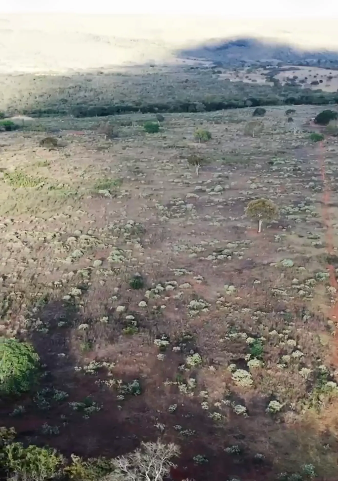 Fazenda à venda de 1.800 ha em Cabeceiras, GO, Brasil