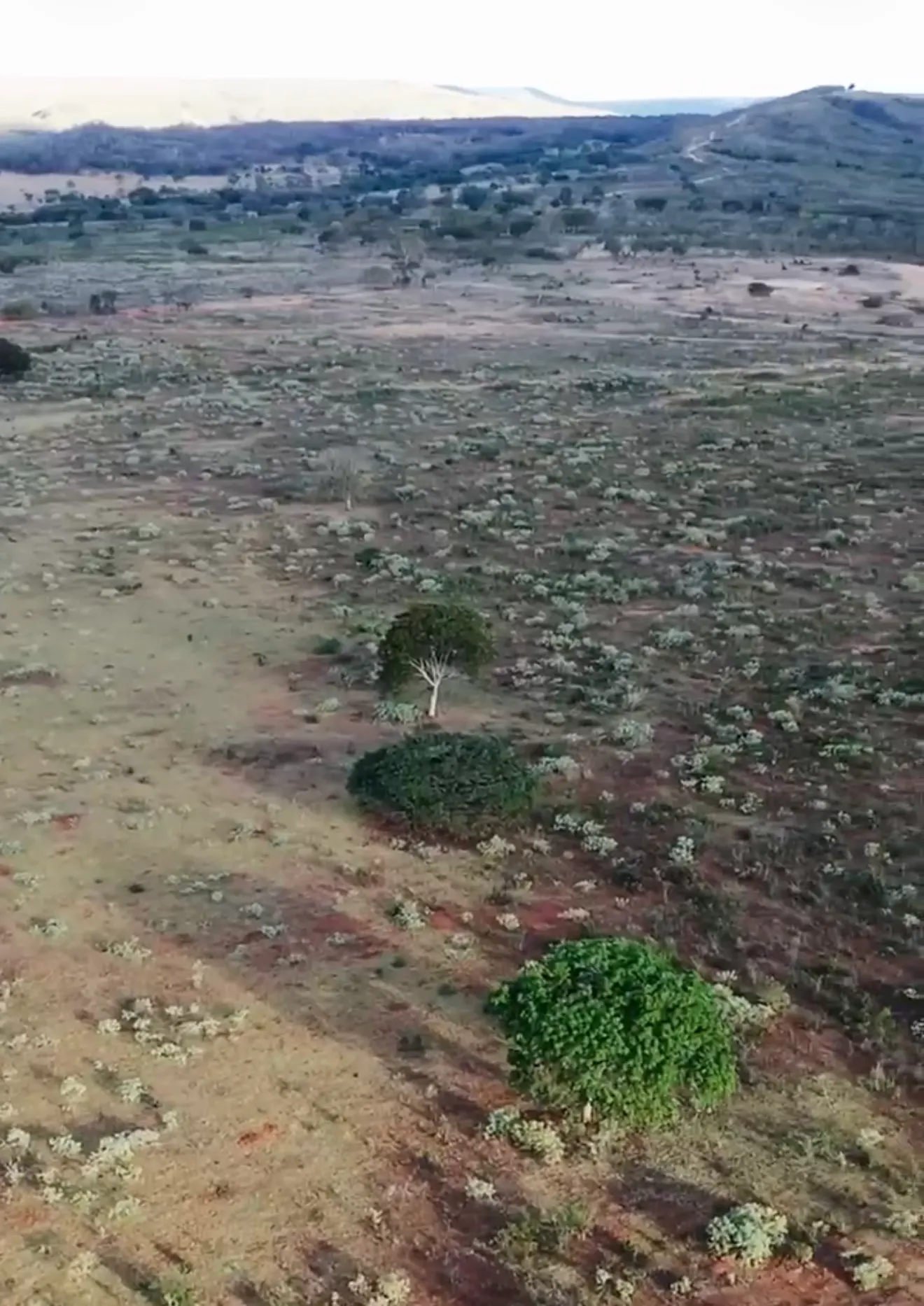 Fazenda à venda de 1.800 ha em Cabeceiras, GO, Brasil