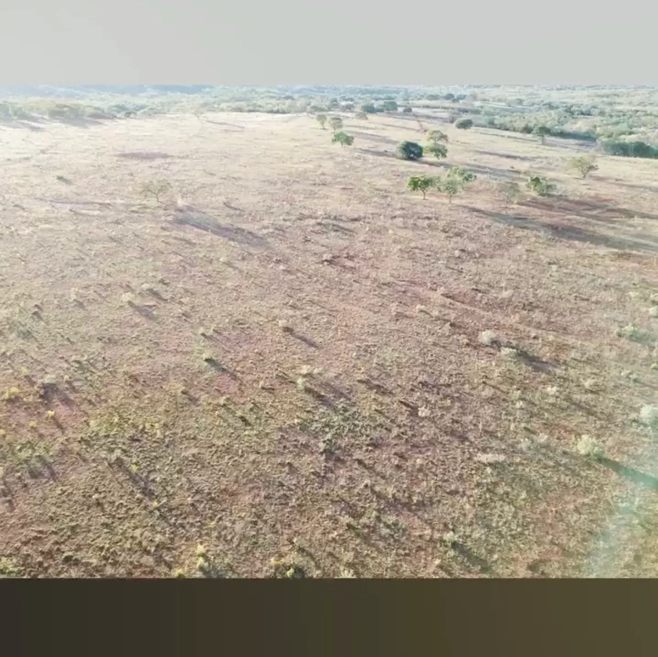 Fazenda à venda de 1.800 ha em Cabeceiras, GO, Brasil