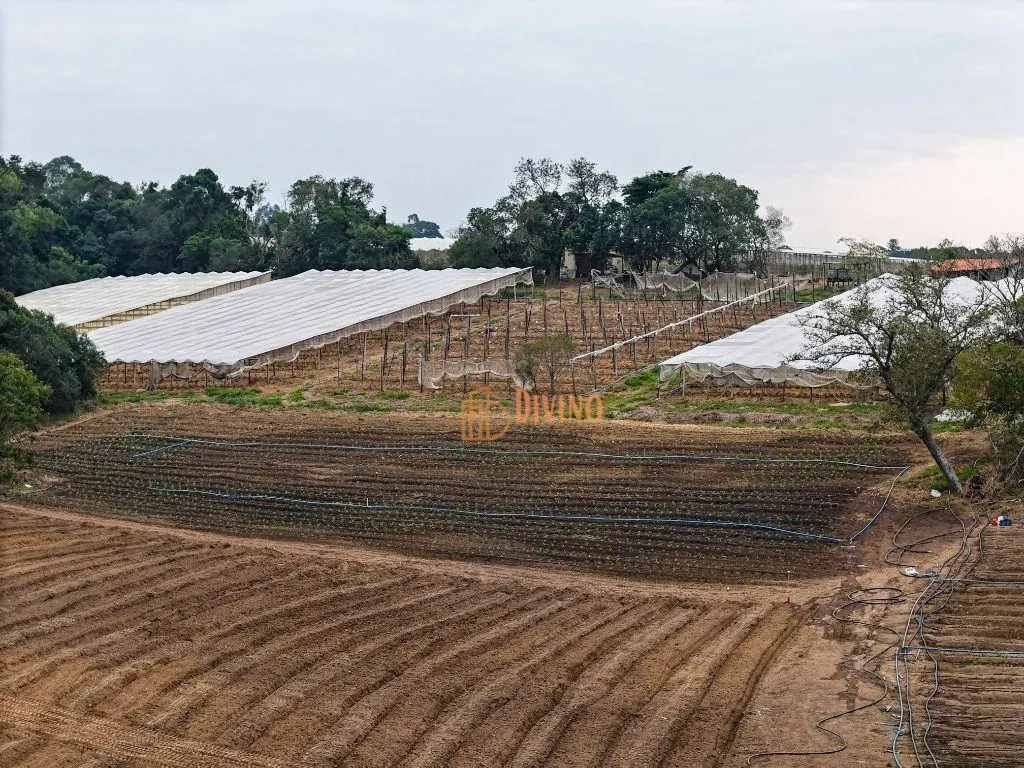Fazenda à venda de 73 ha em Alambari, SP, Brasil