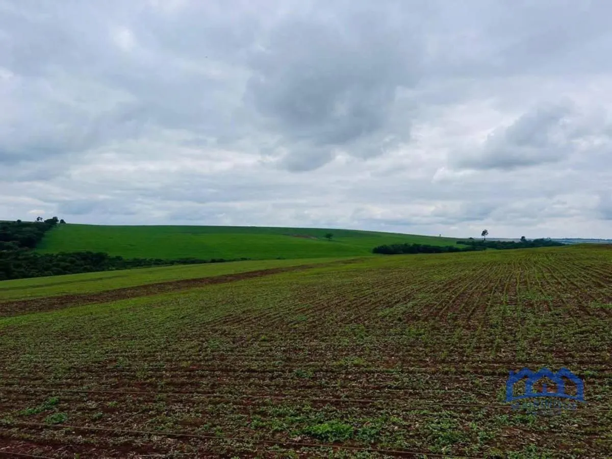 Fazenda à venda de 278 ha em Santa Cruz do Rio Pardo, SP, Brasil