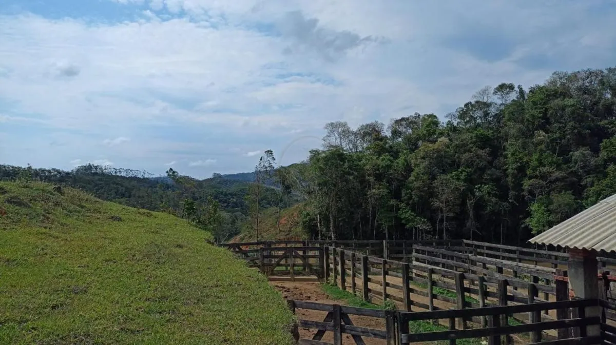 Fazenda à venda de 240 ha em Natividade da Serra, SP, Brasil