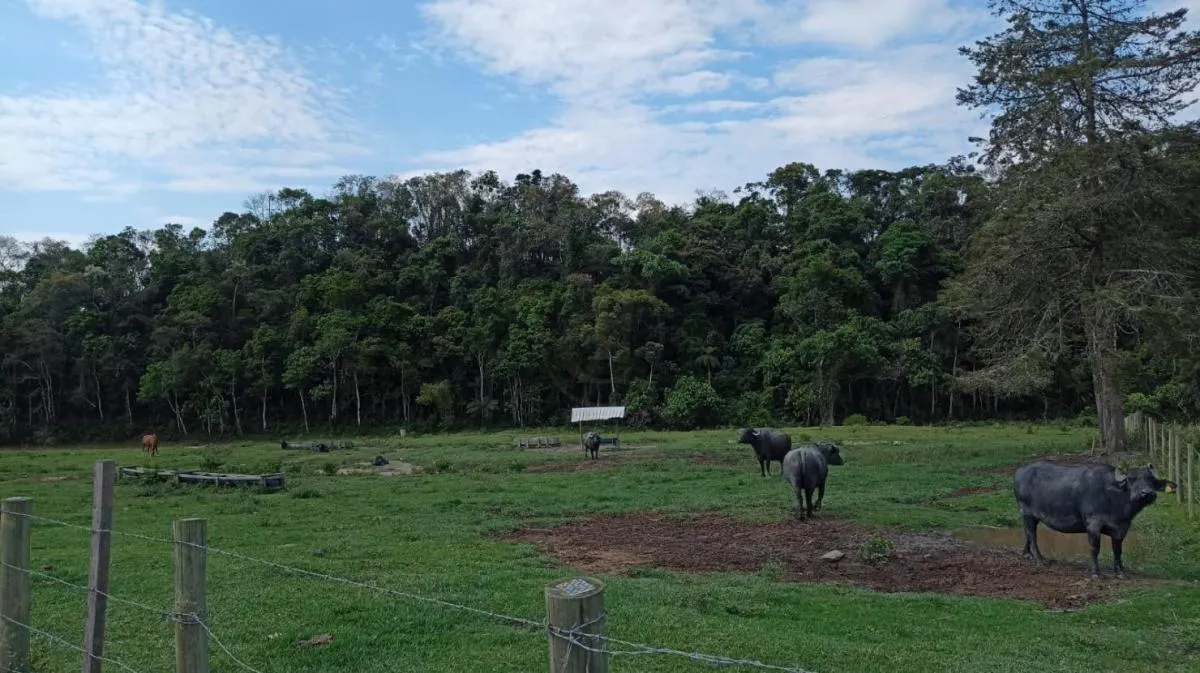 Fazenda à venda de 240 ha em Natividade da Serra, SP, Brasil