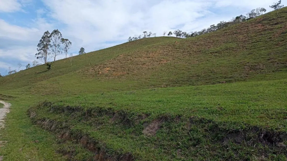 Fazenda à venda de 240 ha em Natividade da Serra, SP, Brasil